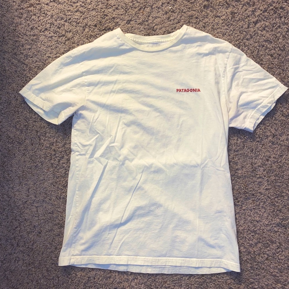 Patagonia Organic Cotton T shirt